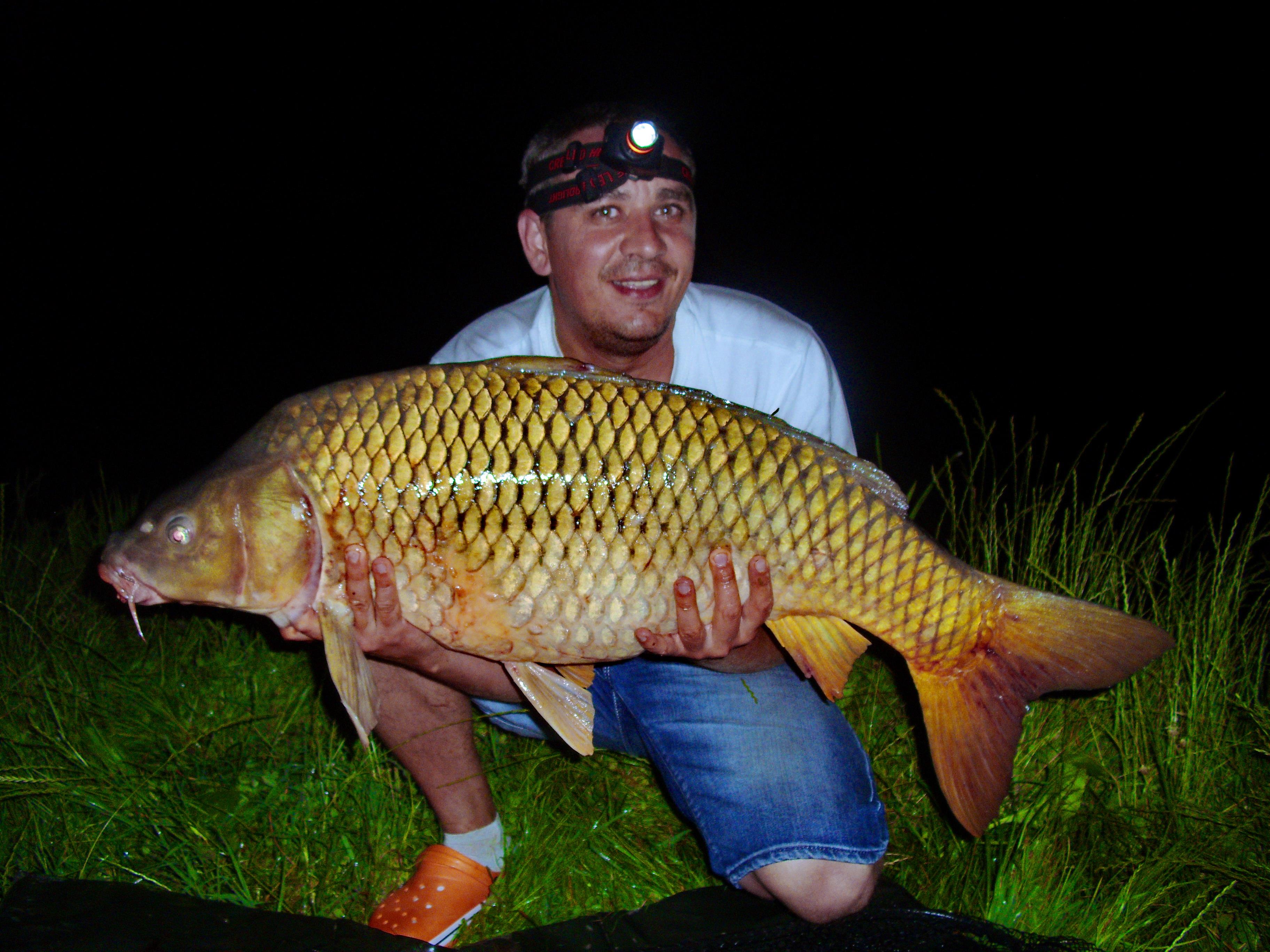 MV2 - Nu stiu cate kg. avea. Nu aveam cantar din pacate.
Poate va dati cu parerea.